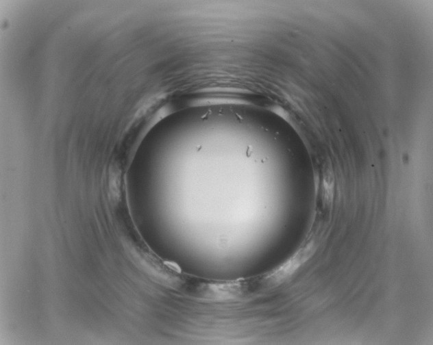 X0000066520188200603241346