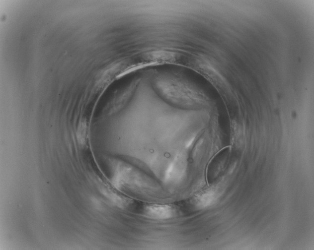 X0000066520189200603241346