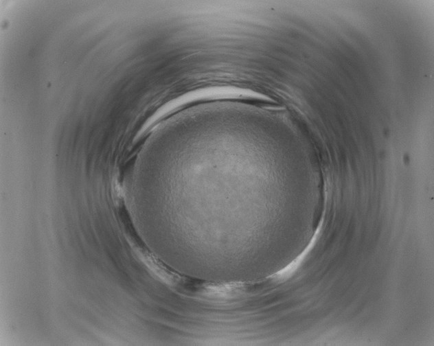 X0000066520190200603241346