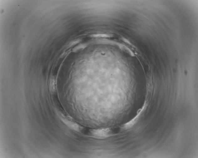 X0000066520191200603241346