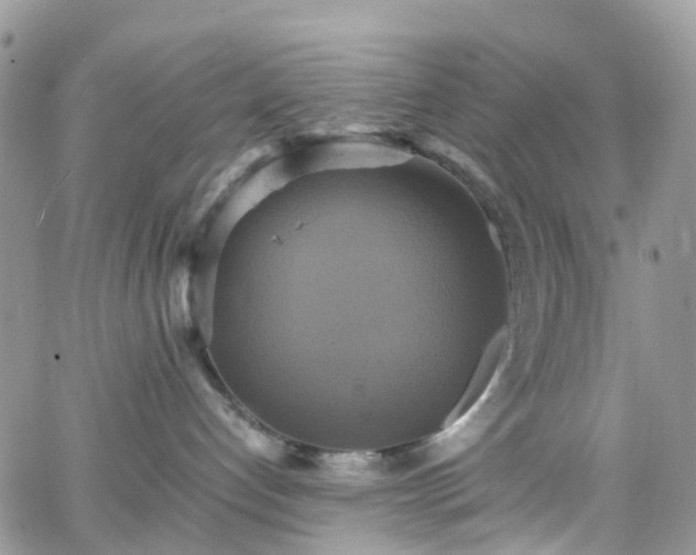 X0000066520192200603241346