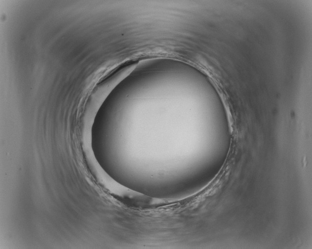 X0000066520193200603241345