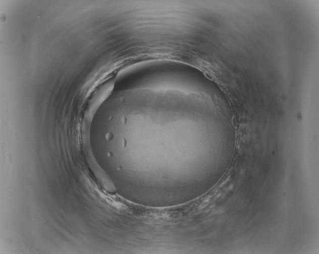 X0000066520194200603241345