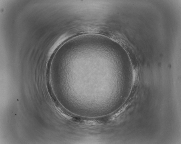 X0000066520195200603241345