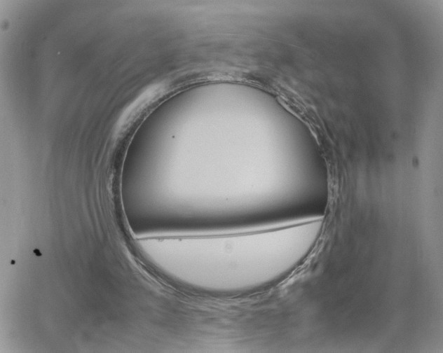 X0000066520197200603241345