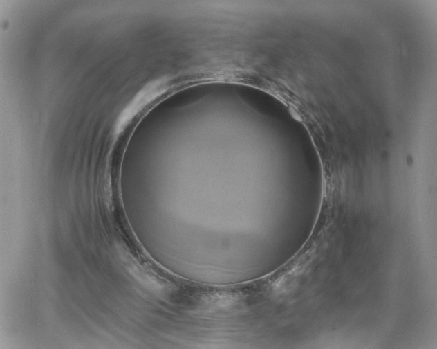 X0000066520198200603241345