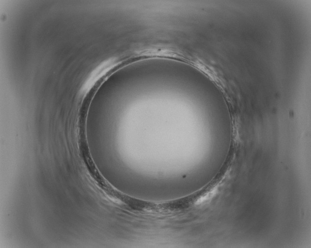 X0000066520199200603241345