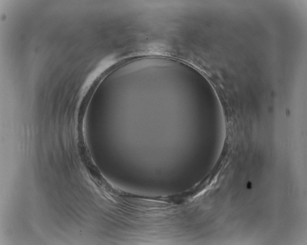 X0000066520200200603241345