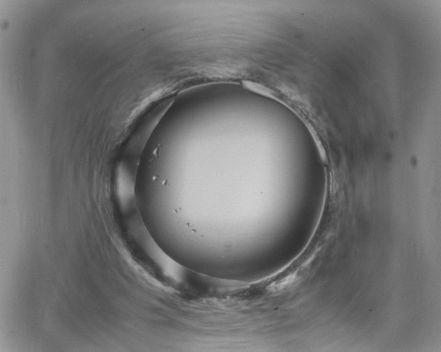 X0000066520201200603241345