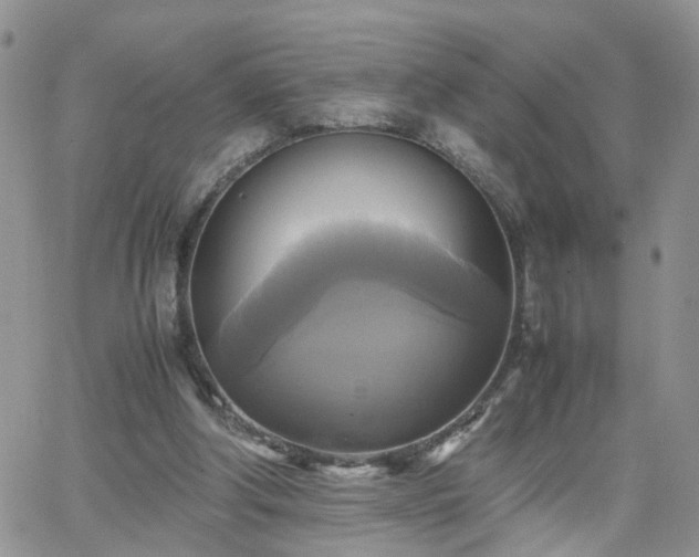 X0000066520202200603241345