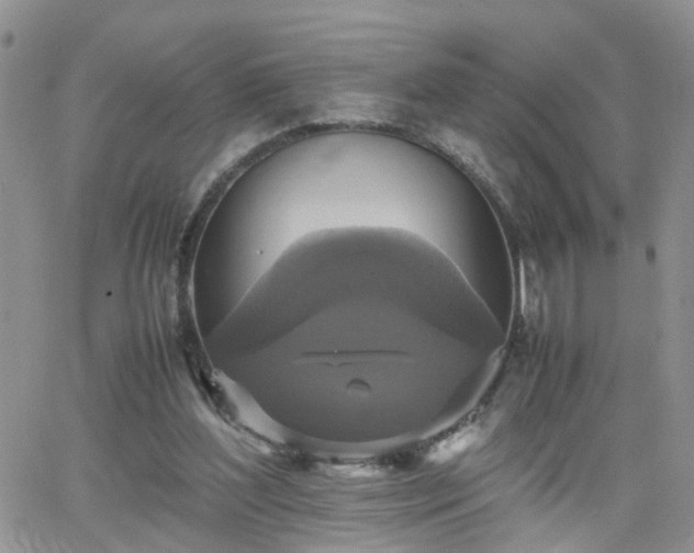 X0000066520204200603241345