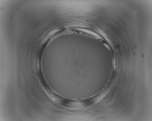 X0000066520205200603241345