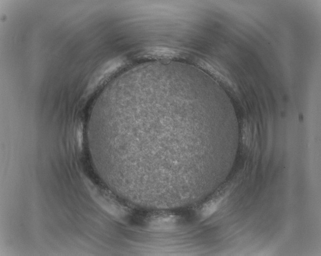 X0000066520206200603241345