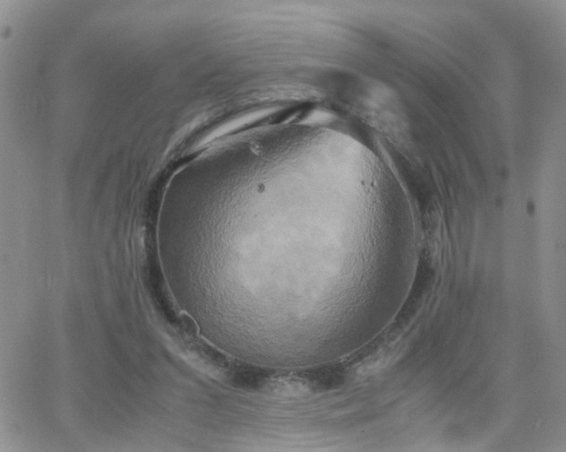 X0000066520207200603241345