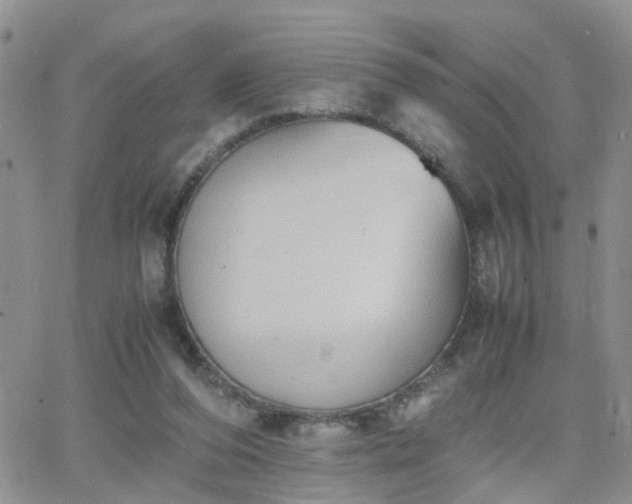 X0000066520208200603241345