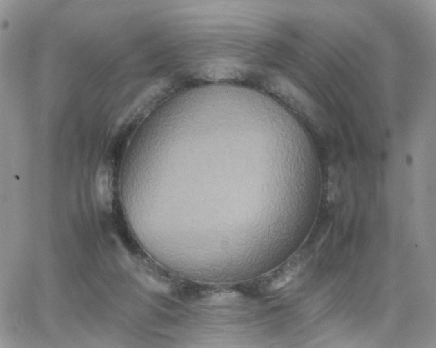 X0000066520210200603241345