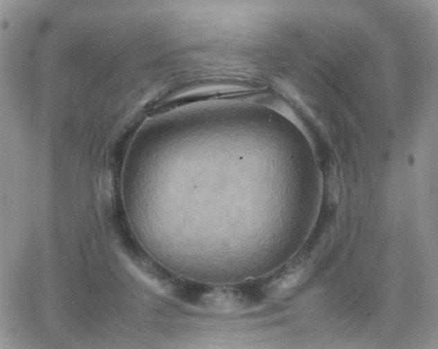 X0000066520211200603241345