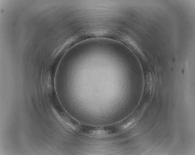 X0000066520212200603241345