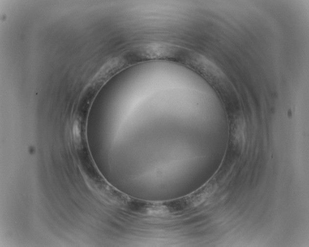 X0000066520214200603241345