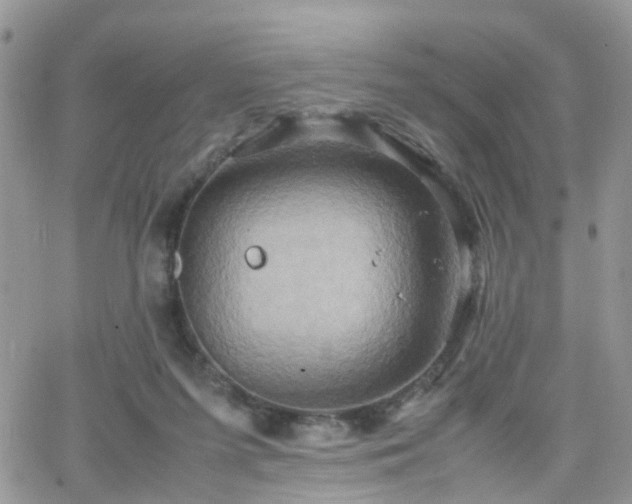 X0000066520215200603241345