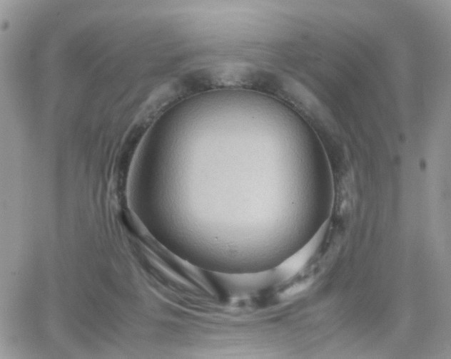 X0000066520217200603241345