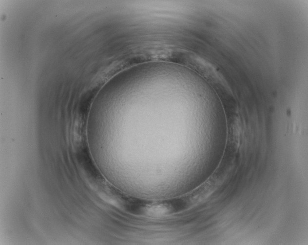 X0000066520218200603241345