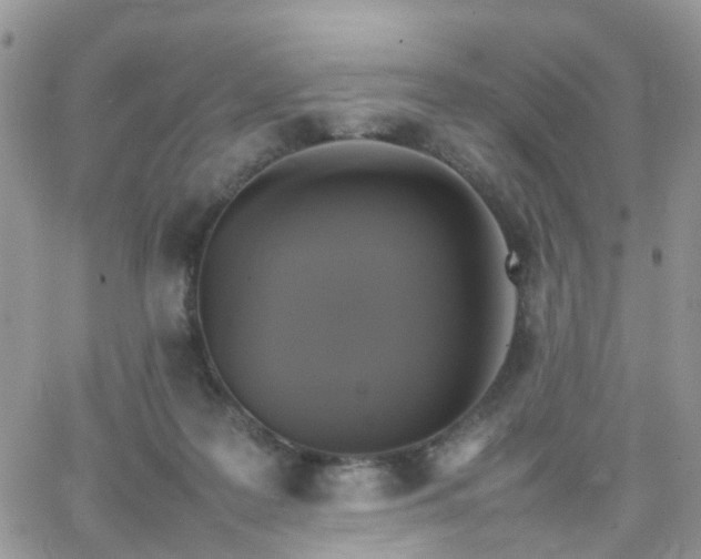 X0000066520219200603241344