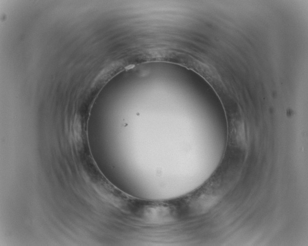 X0000066520220200603241344