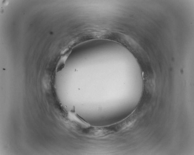 X0000066520221200603241344