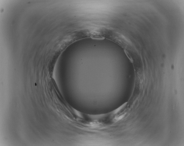 X0000066520223200603241344