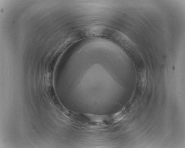 X0000066520224200603241344