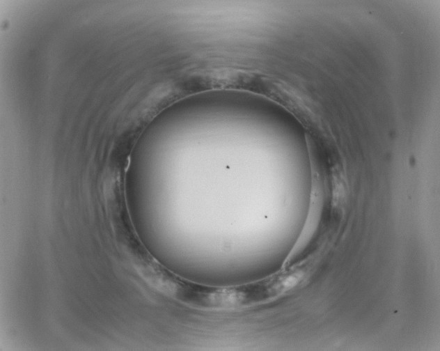 X0000066520225200603241344