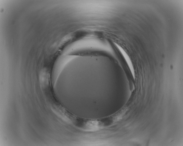 X0000066520227200603241344