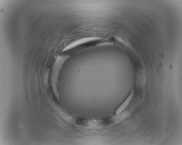 X0000066520229200603241344