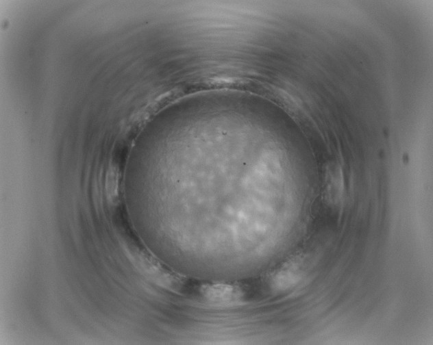 X0000066520230200603241344