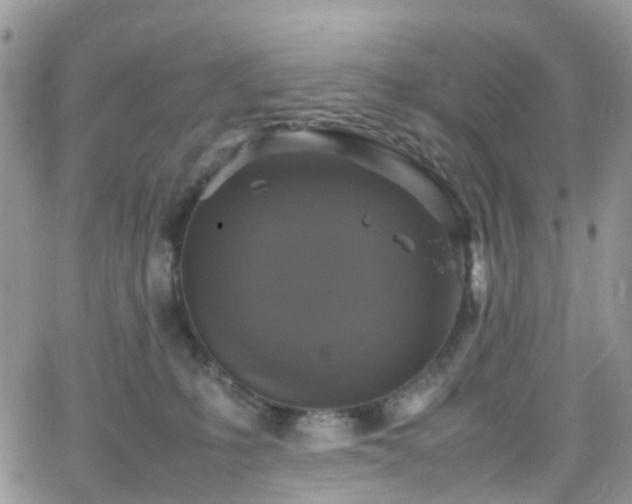 X0000066520231200603241344