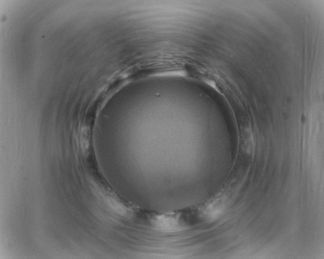 X0000066520232200603241344