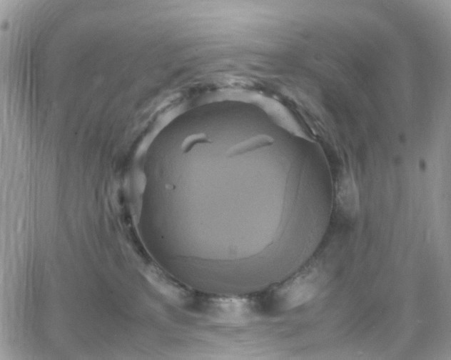 X0000066520233200603241344