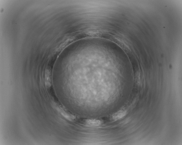 X0000066520234200603241344