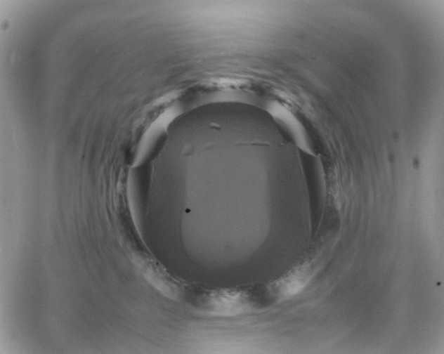 X0000066520235200603241344