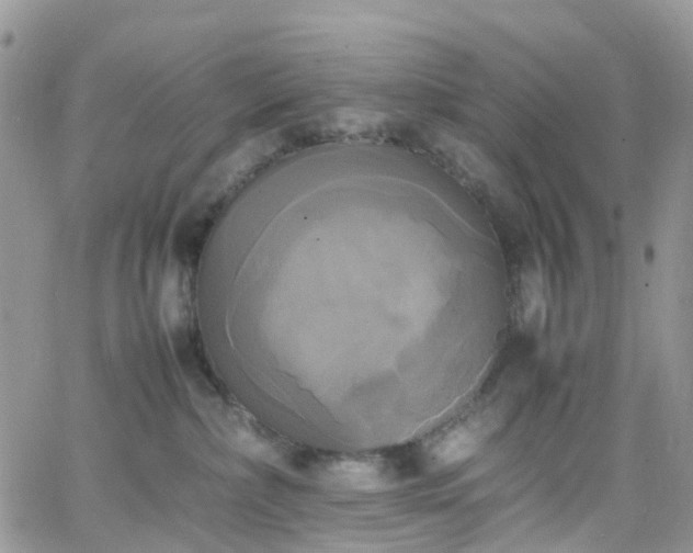 X0000066520236200603241344