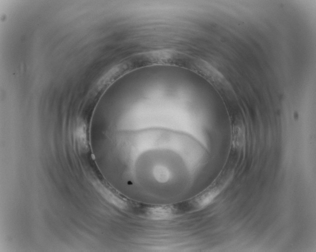 X0000066520238200603241344