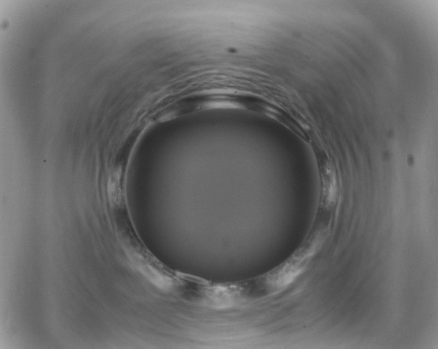 X0000066520239200603241344