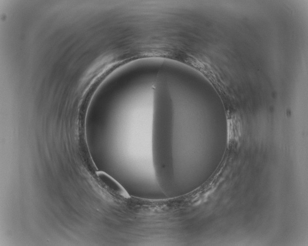 X0000066520243200603241343