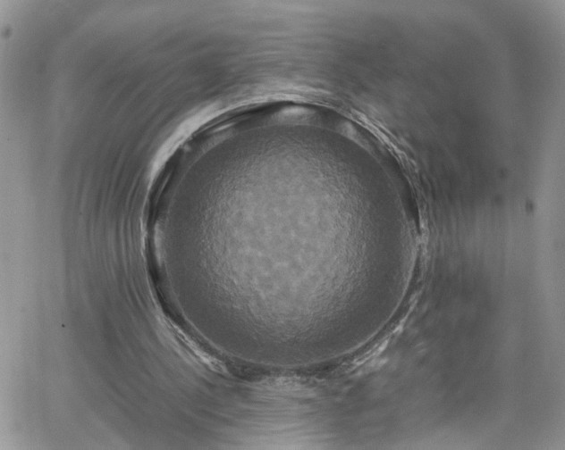 X0000066520244200603241343