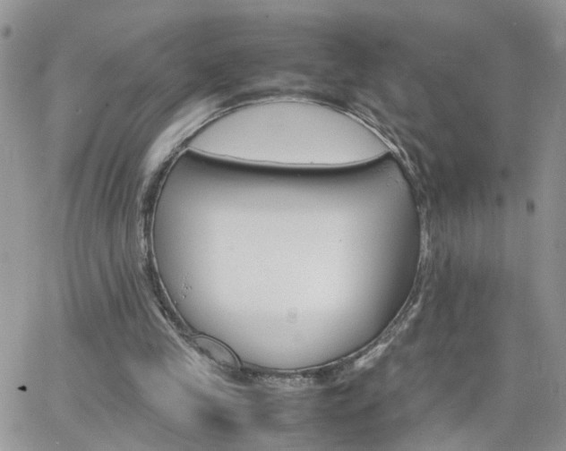 X0000066520245200603241343