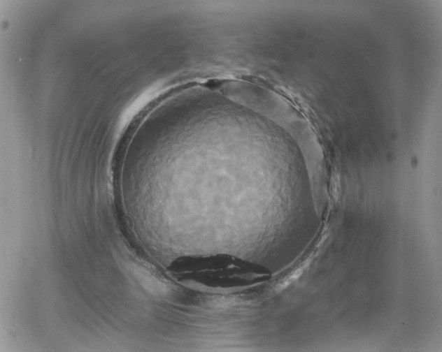 X0000066520246200603241343