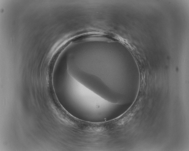 X0000066520247200603241343