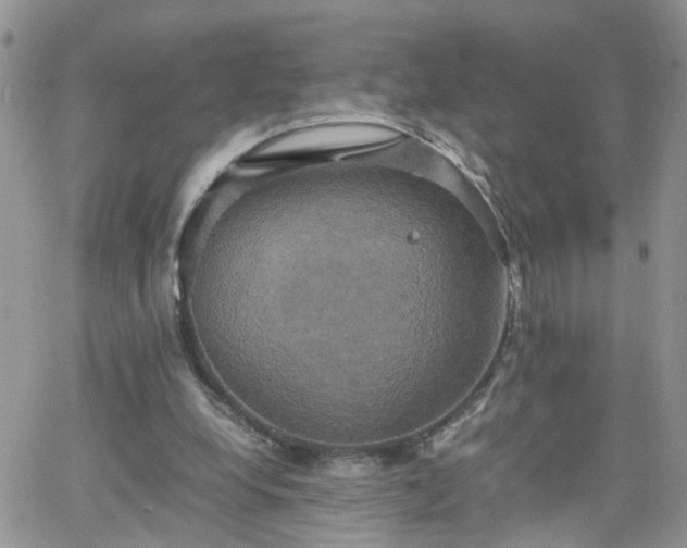 X0000066520248200603241343