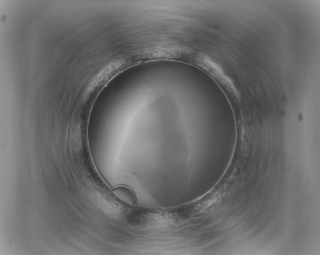 X0000066520250200603241344